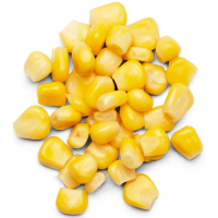 Sweet Yellow Corn In Stock