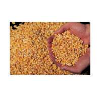 High Nutrition Yellow Corn Maize Animal Feed